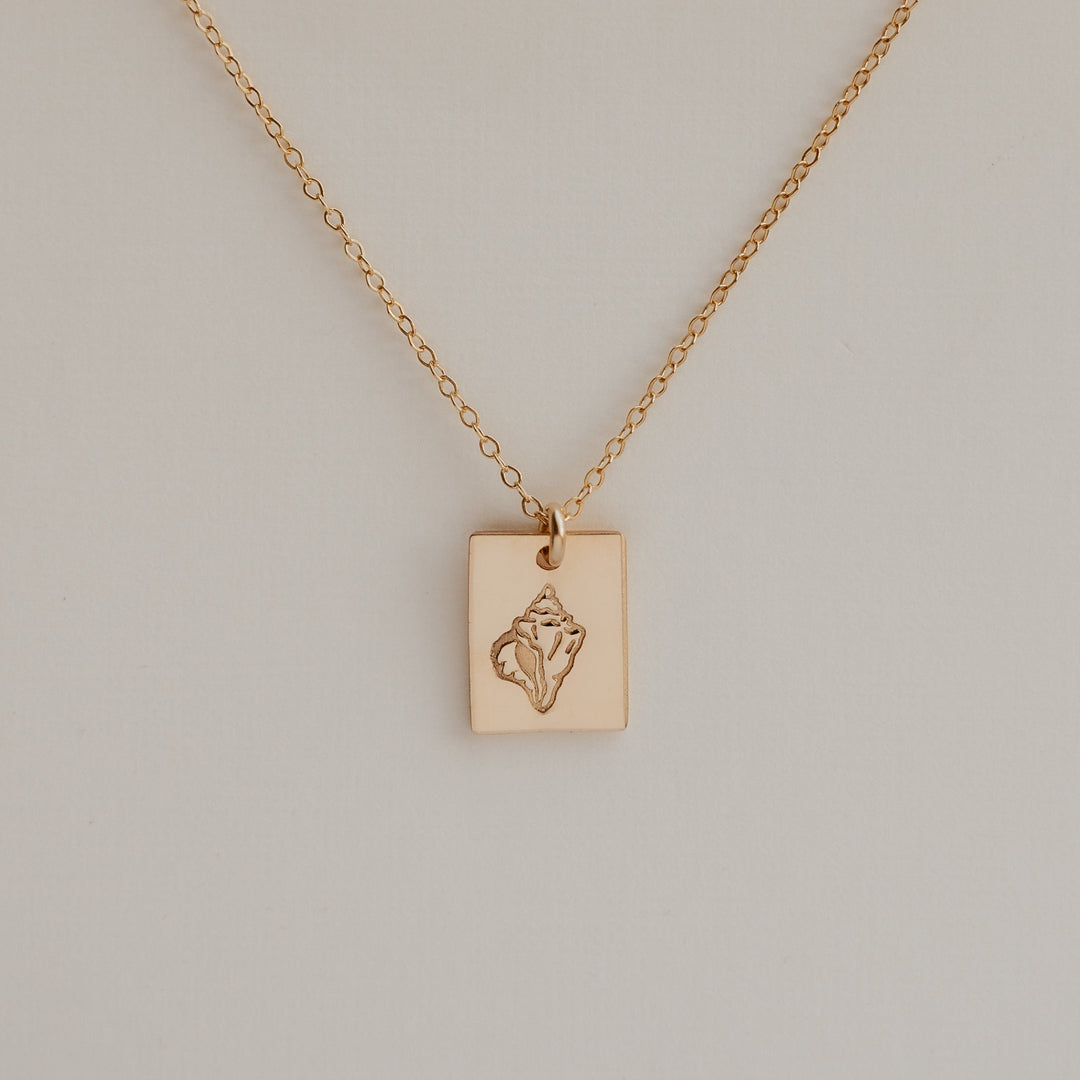 Seashell Necklace