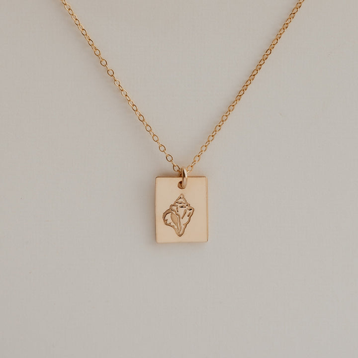 Seashell Necklace